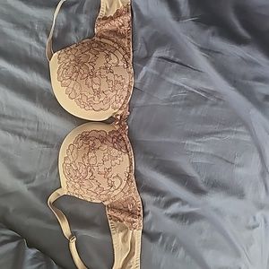 Torrid bra size 40C